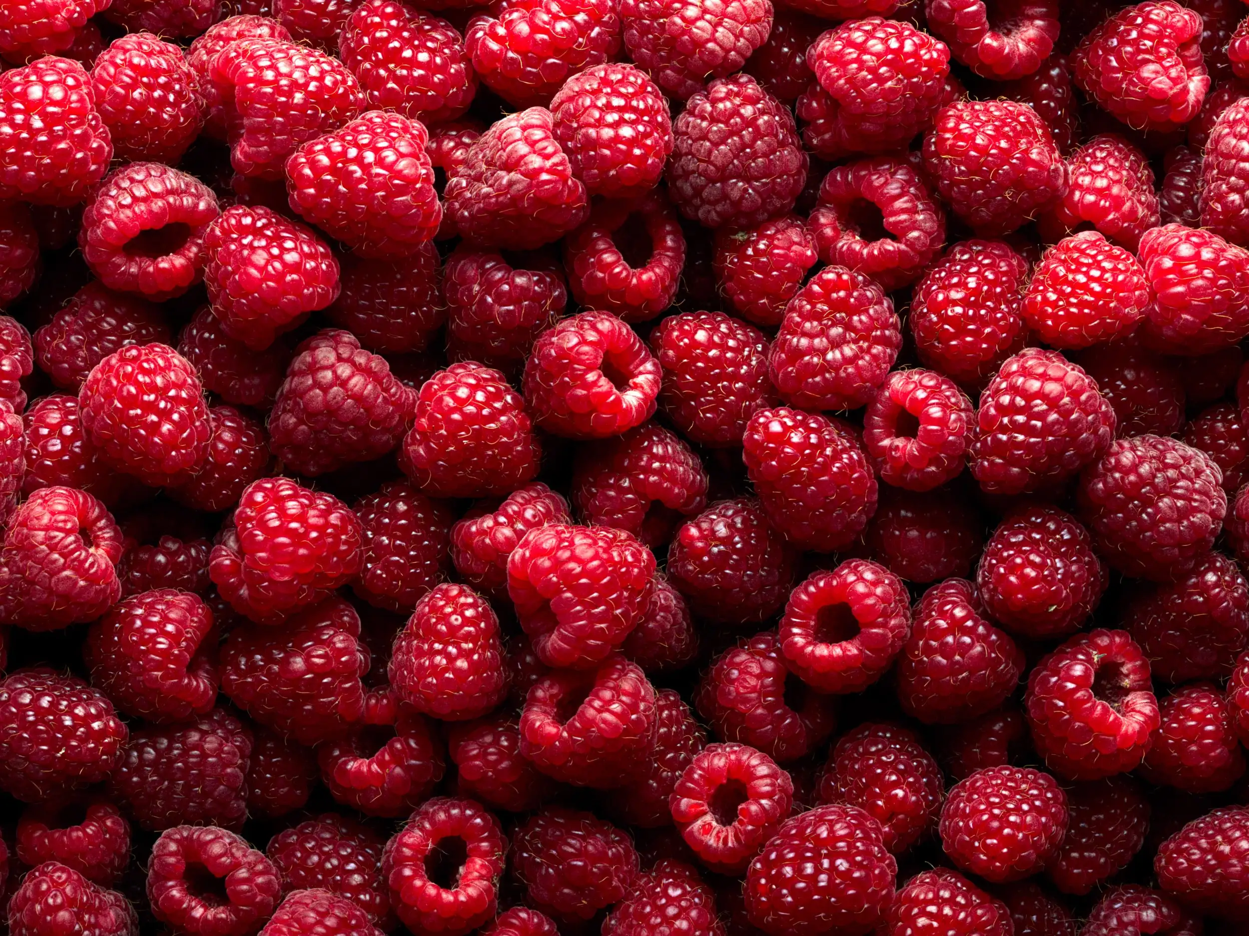 Frambuesas: Una Deliciosa y Saludable Opción Llena de Beneficios